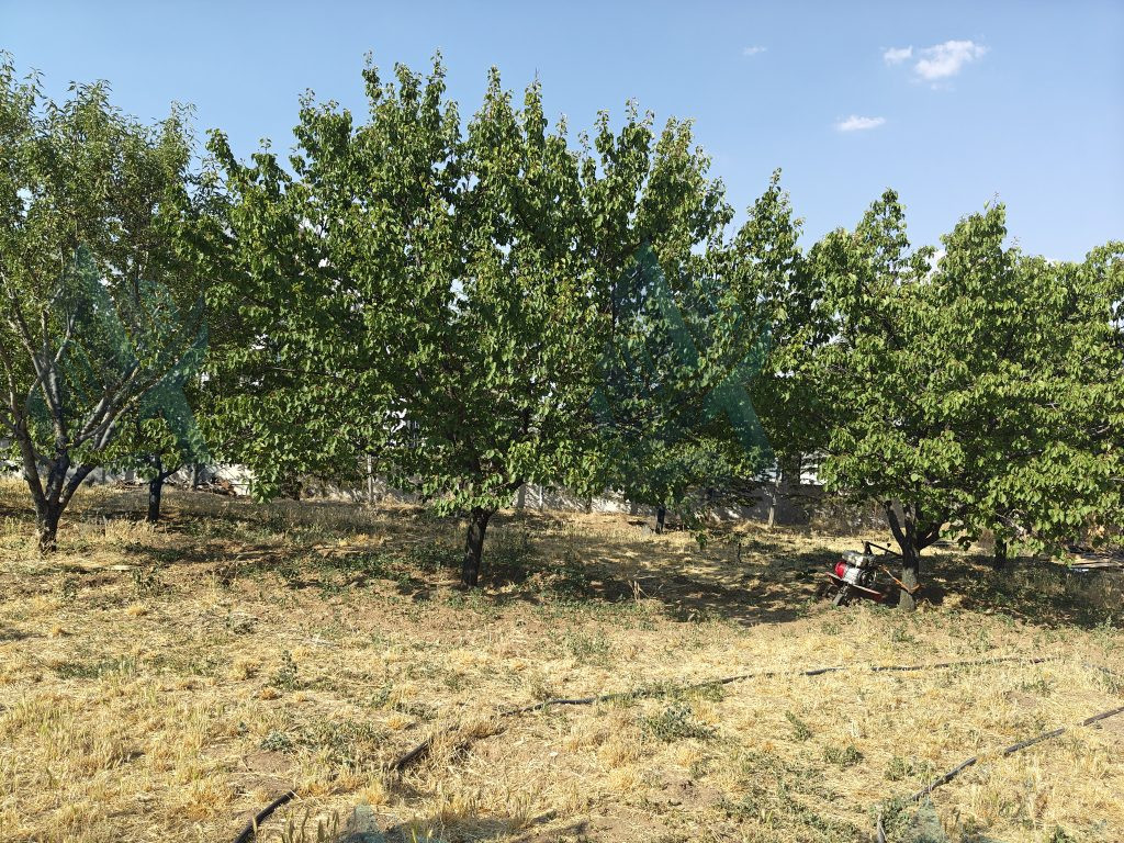 GÖLBAŞI HACILAR’DA İMARLI ARSA / 1+1 KONUT / MEYVE BAHÇESİ - ANKARA GÖLBAŞI HACILAR