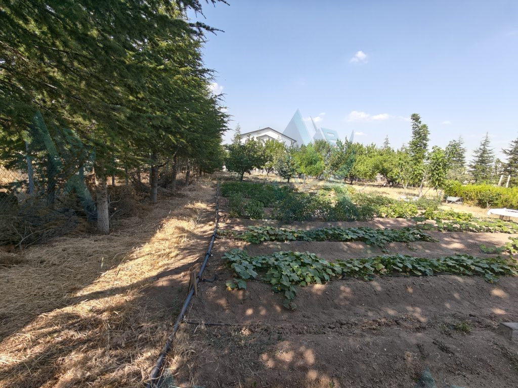 GÖLBAŞI HACILAR’DA İMARLI ARSA / 1+1 KONUT / MEYVE BAHÇESİ - ANKARA GÖLBAŞI HACILAR
